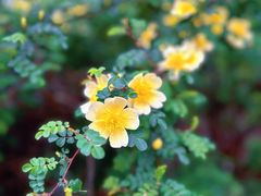 -万达广场(北京槐房店)