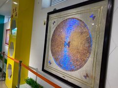 -上海昆虫博物馆