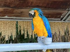 -西霞口神雕山野生动物世界