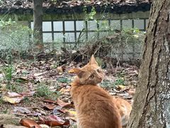 -敬亭山风景名胜区