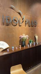 -IDOL-PLUS