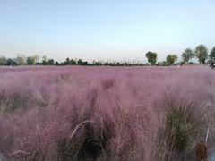 -汉长安城未央宫国家考古遗址公园