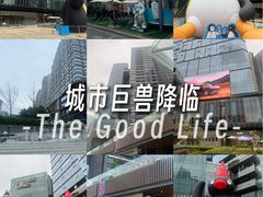 -合景·悠方(成都店)