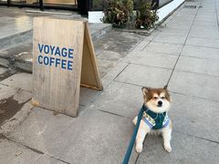 -VOYAGE COFFEE 咖啡烘焙工坊店(798艺术区店)