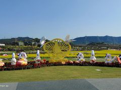 -光明小镇欢乐田园