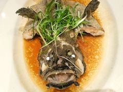 -稻香酒家·34年老字号·港式粤菜(侨光店)