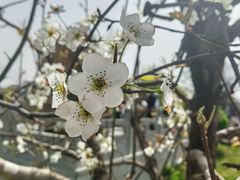 -赵州桥景区