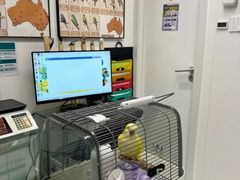 -立德异宠动物医院.兔鸟爬.内窥镜(天河店)