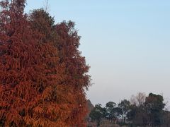 -比斯特上海购物村精品奥特莱斯