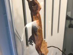 -打趸BTC·Breaktime cafe(北京路店)