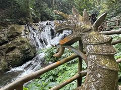 -莫里热带雨林景区
