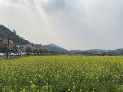 -红山村