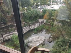 -聚缘堂·海鲜私房菜(松岭路店)