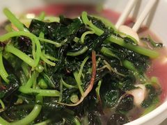 -绿草地·湘菜(芙蓉天街店)