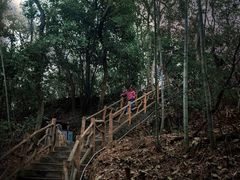 -仙岛湖旅游风景区
