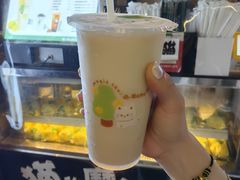 -猫的魔法密林(衣裳街店)