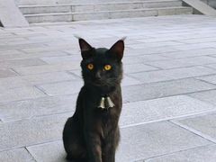 -罔极寺