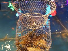 -钳真多钓虾馆·小龙虾海鲜烧烤(九六广场店)