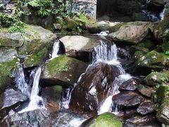 -藏龙百瀑风景区