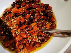 -雲蜀龙阁·金牌水煮鱼(方庄店)