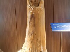 -香市公园-中国沉香文化博物馆