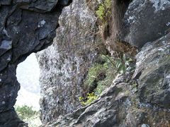 -福建天门山