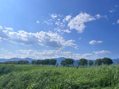 -野鸭湖国家湿地公园