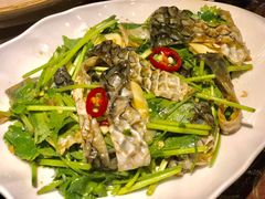 凉拌鱼皮-草鱼先生潮州鱼生·虾生(新厦花园店)