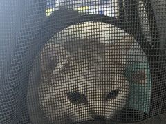 -宠颐生动物医院·全科·骨外科中心·利宠康分院