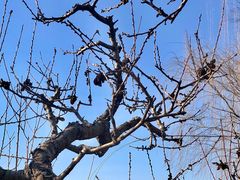 -元大都城垣遗址公园