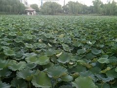 -济南方特东方神画