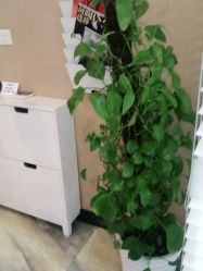 -永琪美容美发全国直营连锁