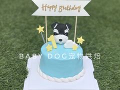 宠物蛋糕-BABYDOG宝贝狗宠物乐园(欧洲城店)