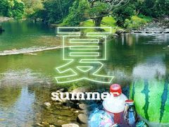 -杨梅坑
