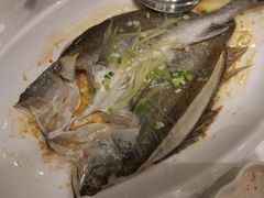 -京粤荟(海王银河科技大厦店)