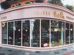 -WHEN PIGS FLY当猪飞