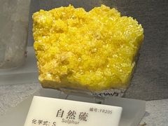 -贵州省地质博物馆