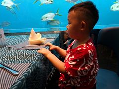 -瑞德姆美人鱼海底演艺主题餐厅(亚龙湾店)