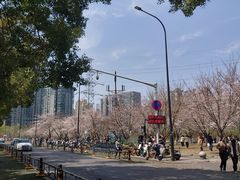 -西北湖绿化广场