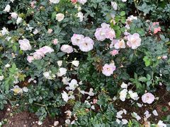 -人民公园(罗湖区)