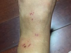 -雅鲁激流探险漂流