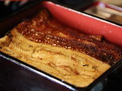 -料亭菊水楼