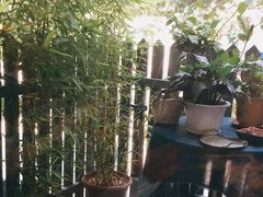 -一号铺子·大炉茶