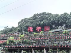 -枇杷园食为鲜火锅(南山店)