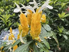 -北京植物园-展览温室