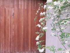 -梵几(东信·和创园店)