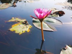 -华南国家植物园-售票处