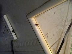 android_upload_pic-延成苑韩式烤肉店(长春道店)