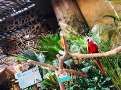 -杭州开元森泊度假乐园