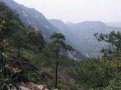 iphone_upload_pic-大罗山风景区